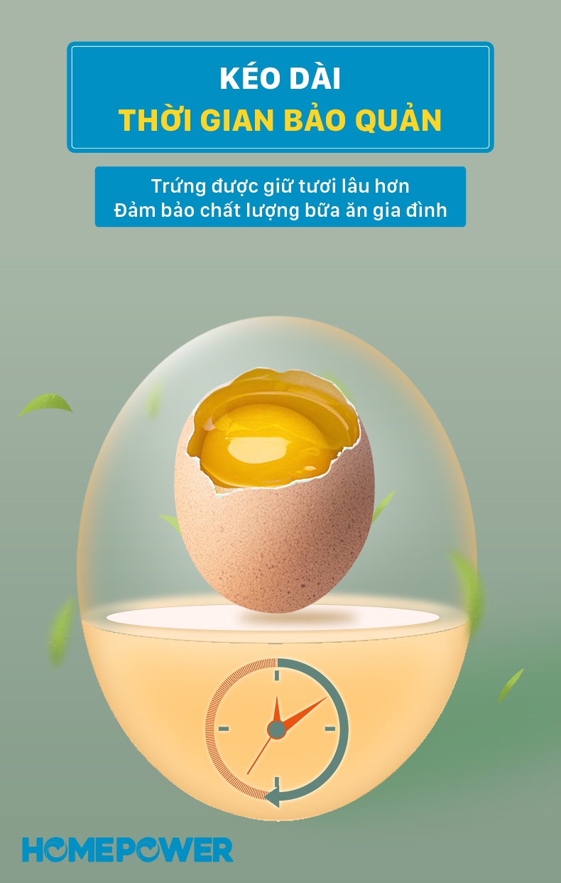 Hộp đựng trứng, bảo quản trứng tủ lạnh Homepower - Có vòng ghi chú thời gian bảo quản tiện lợi - ảnh mô tả 3
